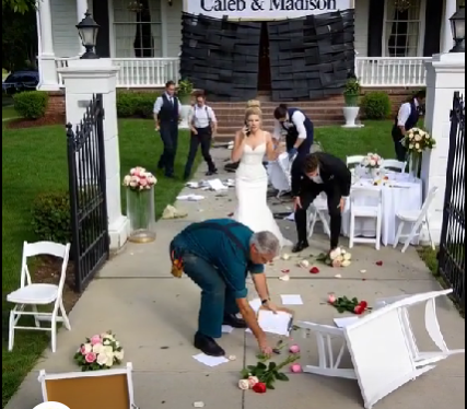 He said my job embarrassed him and I wasn’t welcome at his luxury wedding. I said nothing. The next day, the venue called me in panic — and the wedding disappeared.